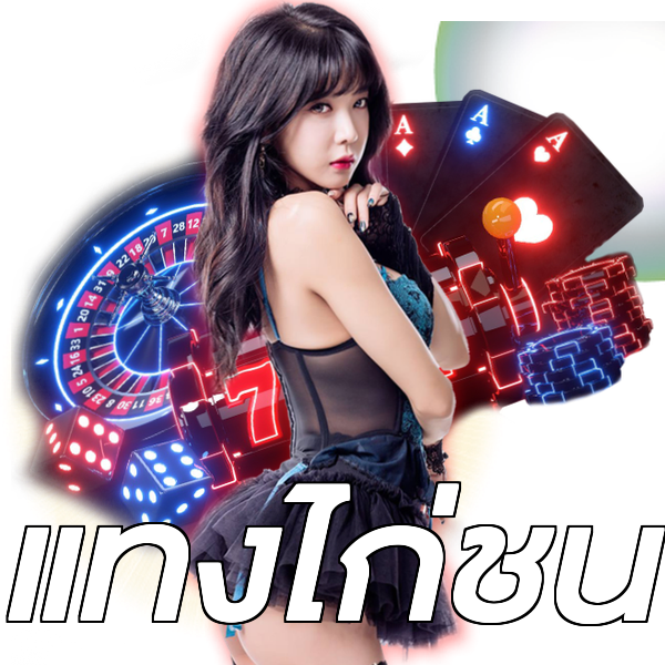 แทงไก่ชน